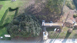 Obec Veselíčko - Veselíčko - zahrada u zámku - 8.11.2024 v 12:00 Obec Veselíčko - Veselíčko - zahrada u zámku - 8.11.2024 v 12:00