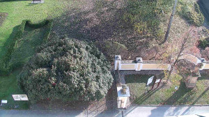 Obec Veselíčko - Veselíčko - zahrada u zámku - 8.11.2024 v 13:00 Obec Veselíčko - Veselíčko - zahrada u zámku - 8.11.2024 v 13:00