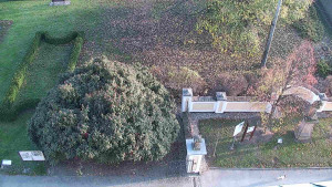 Obec Veselíčko - Veselíčko - zahrada u zámku - 8.11.2024 v 15:00 Obec Veselíčko - Veselíčko - zahrada u zámku - 8.11.2024 v 15:00