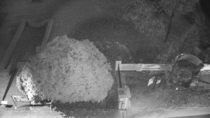 Obec Veselíčko - Veselíčko - zahrada u zámku - 8.11.2024 v 17:00 Obec Veselíčko - Veselíčko - zahrada u zámku - 8.11.2024 v 17:00