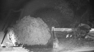 Obec Veselíčko - Veselíčko - zahrada u zámku - 8.11.2024 v 20:00 Obec Veselíčko - Veselíčko - zahrada u zámku - 8.11.2024 v 20:00