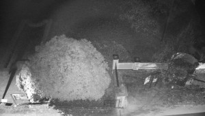 Obec Veselíčko - Veselíčko - zahrada u zámku - 8.11.2024 v 23:00 Obec Veselíčko - Veselíčko - zahrada u zámku - 8.11.2024 v 23:00