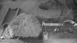 Obec Veselíčko - Veselíčko - zahrada u zámku - 28.3.2025 v 05:00 Obec Veselíčko - Veselíčko - zahrada u zámku - 28.3.2025 v 05:00