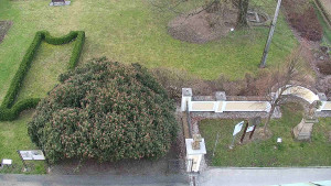 Obec Veselíčko - Veselíčko - zahrada u zámku - 28.3.2025 v 06:00 Obec Veselíčko - Veselíčko - zahrada u zámku - 28.3.2025 v 06:00