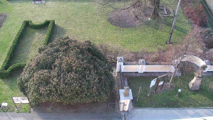 Obec Veselíčko - Veselíčko - zahrada u zámku - 28.3.2025 v 07:00 Obec Veselíčko - Veselíčko - zahrada u zámku - 28.3.2025 v 07:00