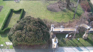 Obec Veselíčko - Veselíčko - zahrada u zámku - 28.3.2025 v 08:00 Obec Veselíčko - Veselíčko - zahrada u zámku - 28.3.2025 v 08:00