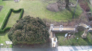 Obec Veselíčko - Veselíčko - zahrada u zámku - 28.3.2025 v 09:00 Obec Veselíčko - Veselíčko - zahrada u zámku - 28.3.2025 v 09:00