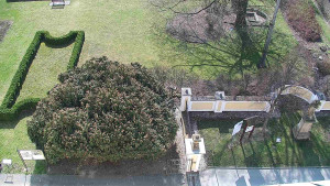 Obec Veselíčko - Veselíčko - zahrada u zámku - 28.3.2025 v 10:00 Obec Veselíčko - Veselíčko - zahrada u zámku - 28.3.2025 v 10:00