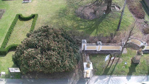 Obec Veselíčko - Veselíčko - zahrada u zámku - 28.3.2025 v 12:00 Obec Veselíčko - Veselíčko - zahrada u zámku - 28.3.2025 v 12:00