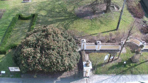 Obec Veselíčko - Veselíčko - zahrada u zámku - 28.3.2025 v 14:00 Obec Veselíčko - Veselíčko - zahrada u zámku - 28.3.2025 v 14:00