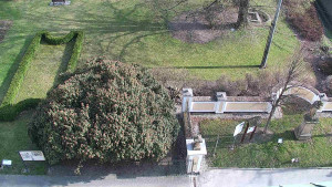 Obec Veselíčko - Veselíčko - zahrada u zámku - 28.3.2025 v 15:00 Obec Veselíčko - Veselíčko - zahrada u zámku - 28.3.2025 v 15:00