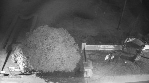 Obec Veselíčko - Veselíčko - zahrada u zámku - 28.3.2025 v 19:00 Obec Veselíčko - Veselíčko - zahrada u zámku - 28.3.2025 v 19:00