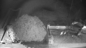 Obec Veselíčko - Veselíčko - zahrada u zámku - 28.3.2025 v 23:00 Obec Veselíčko - Veselíčko - zahrada u zámku - 28.3.2025 v 23:00