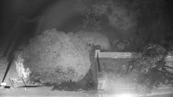 Snímek    22.10.2025 v 00:00