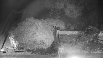 Snímek    23.10.2025 v 01:00