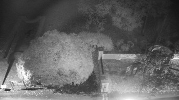 Snímek    25.10.2025 v 06:00
