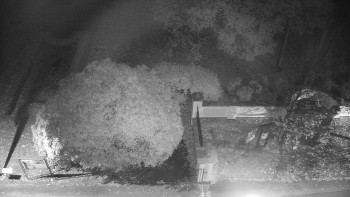 Snímek    26.10.2025 v 05:30