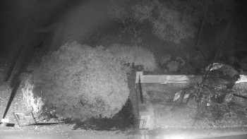 Snímek    26.10.2025 v 19:00