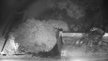 Snímek    27.10.2025 v 21:00