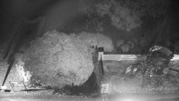 Snímek    27.10.2025 v 21:30