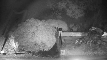Snímek    28.10.2025 v 03:00