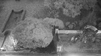 Snímek    28.10.2025 v 06:00
