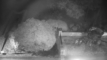 Snímek    29.10.2025 v 01:00