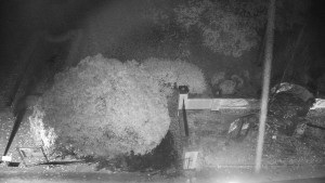 Obec Veselíčko - Veselíčko - zahrada u zámku - 29.10.2025 v 02:30 Obec Veselíčko - Veselíčko - zahrada u zámku - 29.10.2025 v 02:30