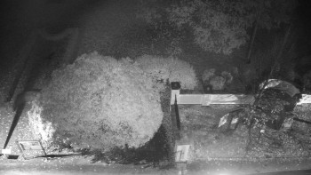 Snímek    29.10.2025 v 05:30