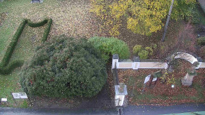 Obec Veselíčko - Veselíčko - zahrada u zámku - 29.10.2025 v 06:30 Obec Veselíčko - Veselíčko - zahrada u zámku - 29.10.2025 v 06:30