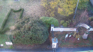 Obec Veselíčko - Veselíčko - zahrada u zámku - 29.10.2025 v 07:00 Obec Veselíčko - Veselíčko - zahrada u zámku - 29.10.2025 v 07:00