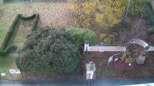 Obec Veselíčko - Veselíčko - zahrada u zámku - 29.10.2025 v 08:00 Obec Veselíčko - Veselíčko - zahrada u zámku - 29.10.2025 v 08:00