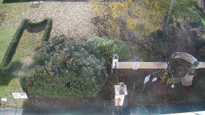 Obec Veselíčko - Veselíčko - zahrada u zámku - 29.10.2025 v 09:00 Obec Veselíčko - Veselíčko - zahrada u zámku - 29.10.2025 v 09:00