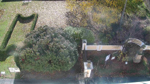 Obec Veselíčko - Veselíčko - zahrada u zámku - 29.10.2025 v 09:30 Obec Veselíčko - Veselíčko - zahrada u zámku - 29.10.2025 v 09:30