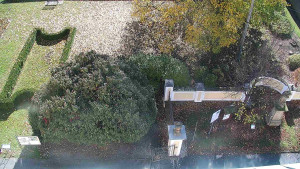 Obec Veselíčko - Veselíčko - zahrada u zámku - 29.10.2025 v 10:30 Obec Veselíčko - Veselíčko - zahrada u zámku - 29.10.2025 v 10:30