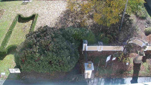 Obec Veselíčko - Veselíčko - zahrada u zámku - 29.10.2025 v 11:00 Obec Veselíčko - Veselíčko - zahrada u zámku - 29.10.2025 v 11:00