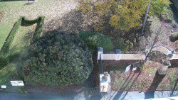 Veselíčko - zahrada u zámku