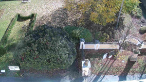 Obec Veselíčko - Veselíčko - zahrada u zámku - 29.10.2025 v 12:00 Obec Veselíčko - Veselíčko - zahrada u zámku - 29.10.2025 v 12:00