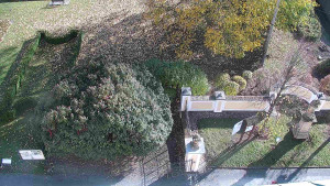 Obec Veselíčko - Veselíčko - zahrada u zámku - 29.10.2025 v 13:00 Obec Veselíčko - Veselíčko - zahrada u zámku - 29.10.2025 v 13:00