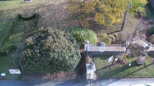 Obec Veselíčko - Veselíčko - zahrada u zámku - 29.10.2025 v 14:00 Obec Veselíčko - Veselíčko - zahrada u zámku - 29.10.2025 v 14:00