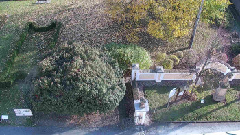 Snímek    29.10.2025 v 14:00