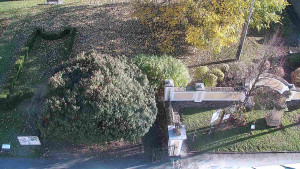 Obec Veselíčko - Veselíčko - zahrada u zámku - 29.10.2025 v 14:30 Obec Veselíčko - Veselíčko - zahrada u zámku - 29.10.2025 v 14:30