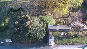 Obec Veselíčko - Veselíčko - zahrada u zámku - 29.10.2025 v 15:00 Obec Veselíčko - Veselíčko - zahrada u zámku - 29.10.2025 v 15:00