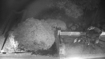 Snímek    30.10.2025 v 05:30