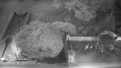 Veselíčko - zahrada u zámku