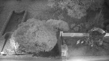 Snímek    30.10.2025 v 06:00