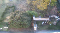 Veselíčko - zahrada u zámku