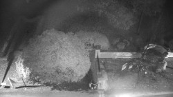 Veselíčko - zahrada u zámku