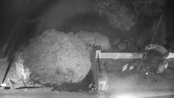 Veselíčko - zahrada u zámku