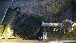 Obec Veselíčko - Veselíčko - zahrada u zámku - 31.10.2025 v 06:00 Obec Veselíčko - Veselíčko - zahrada u zámku - 31.10.2025 v 06:00